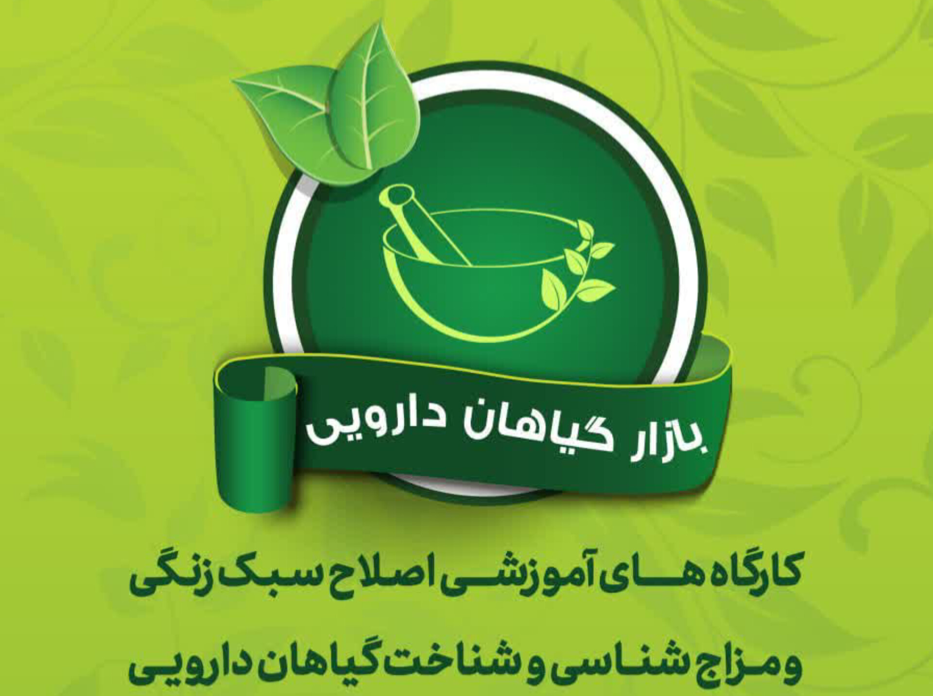 کلاس های آموزشی بازار